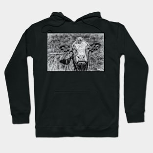 Portrait of a Cow in Black & White Hoodie